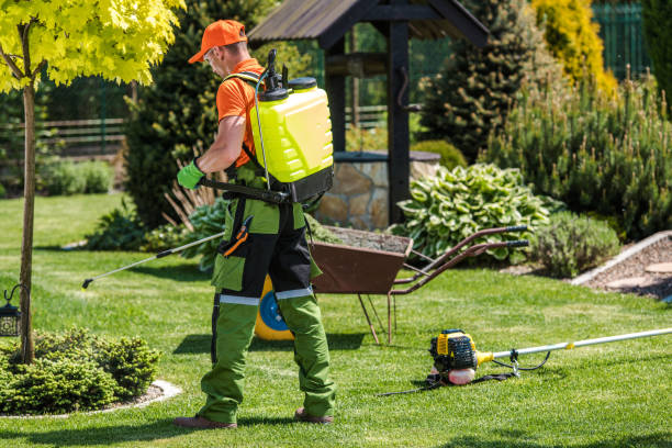 Lawn Pest Control in Bethany, OK